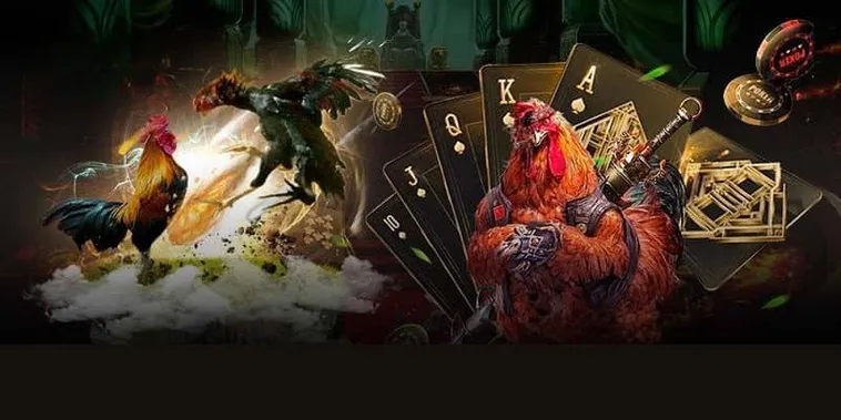 Cách Chơi Đá Gà 3D Tại SHBET: Hướng Dẫn Chi Tiết Cho Người Mới