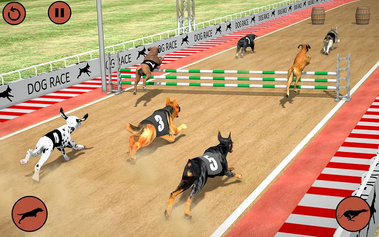 Cách Chơi Game Nhanh Đua Chó Tại SHBET Hiệu Quả Nhất