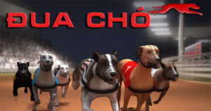 Cách Chơi Game Nhanh Đua Chó Tại SHBET Hiệu Quả Nhất